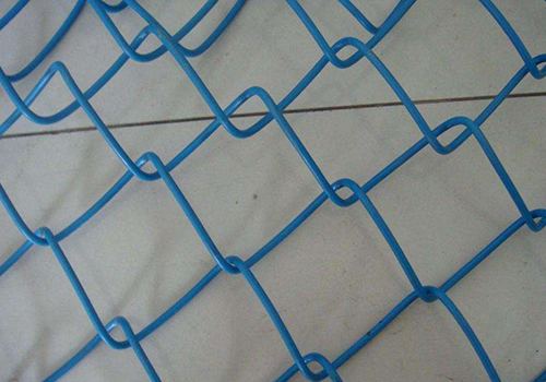 新疆PVC包塑勾花網圖片2