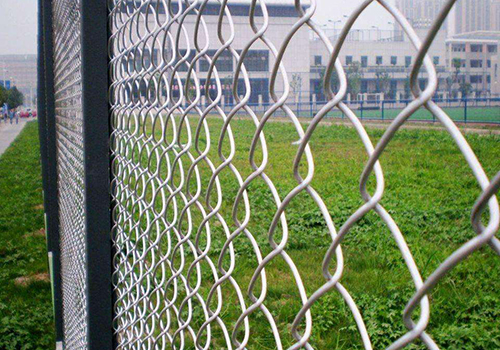 新疆PVC包塑勾花網圖片4