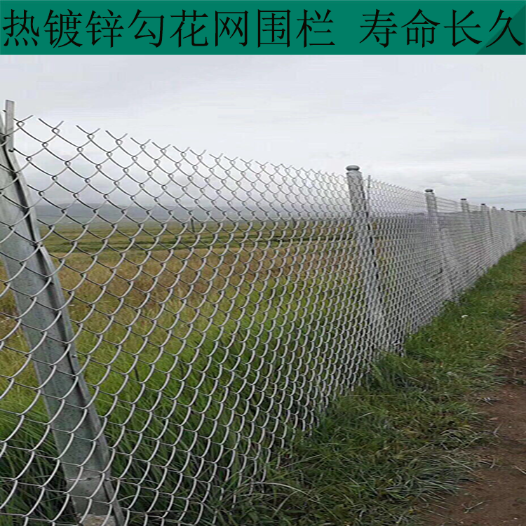 安平勾花網(wǎng)隔離網(wǎng)圖片2