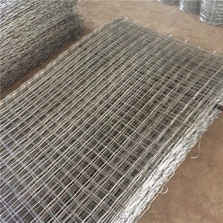 大同金屬經緯網鍍鋅煤礦經緯編織網圖片3