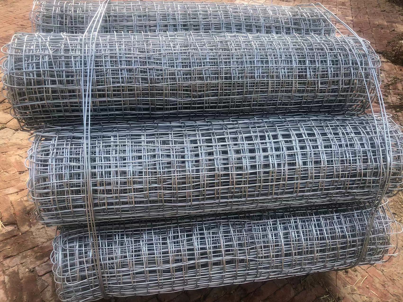 大同煤礦井下用經緯形金屬網圖片3